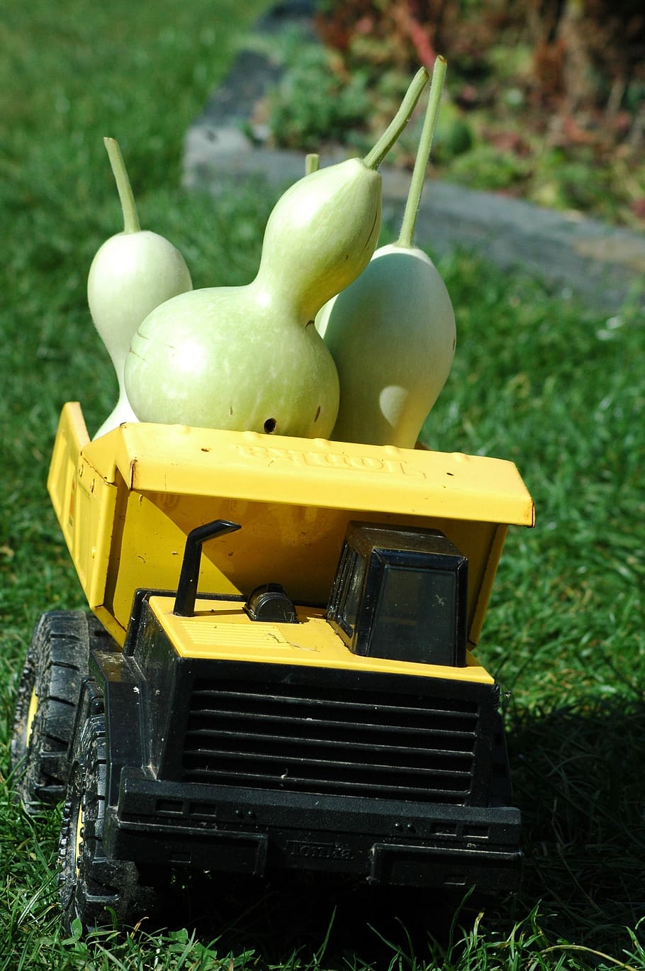 squash bottle, green, yard, truck