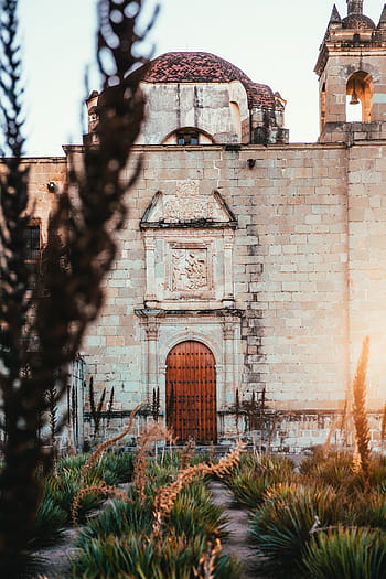 kostel, bývalý, klášter, Santo Domingo, de, guzman, oaxaca, Mexiko, slunečního světla, architektura, katedrála
