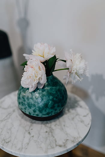 bunga peony, vas, bunga, indah, mekar, berbunga, merah muda, musim semi, karangan bunga, peony