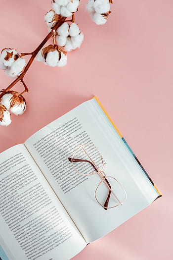 terbuka, buku, pink, latar belakang, membaca, kacamata, belajar, backgound merah muda, feminin