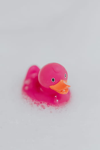 rosa, patito de goma, espuma, pato de goma, pato rosa, pompas de jabón, juguete, juguete de goma, baño