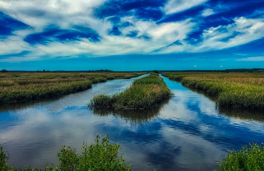 south carolina, america, marsh, marshland, sunset, dusk, sky, clouds, tourism, inlet, water