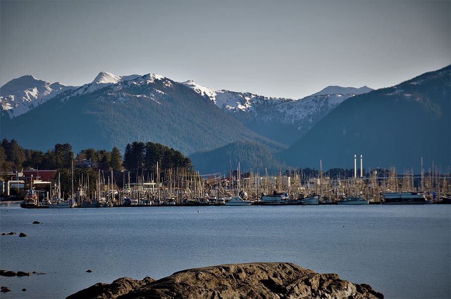 thompson harbor, sitka, alaska, coast, ocean, nature, water, marine, shore, outdoors, sea