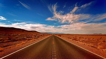 street, desert, california, sky, bird, blue sky