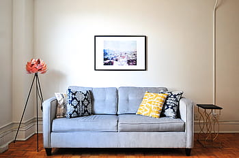 house, interior, design, couch, sofa, wall, floor, window, frame, pillow, flower