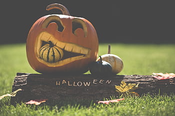carved, halloween, halloween pumpkin, orange, orange color, pumpkin, season, seasonal, autumn, food, vegetable