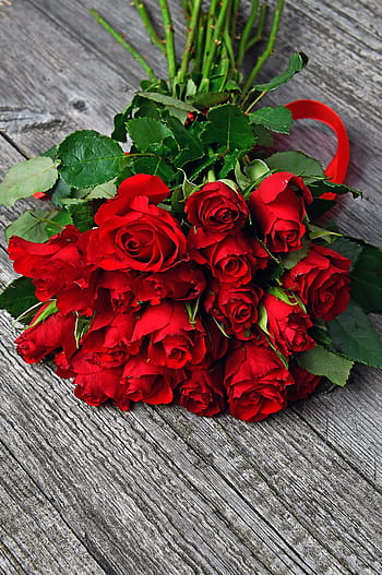rosa, San Valentino, romantico, romanza, amore, simpatico, sfondo, fiore, fiori, simbolo, amorevole
