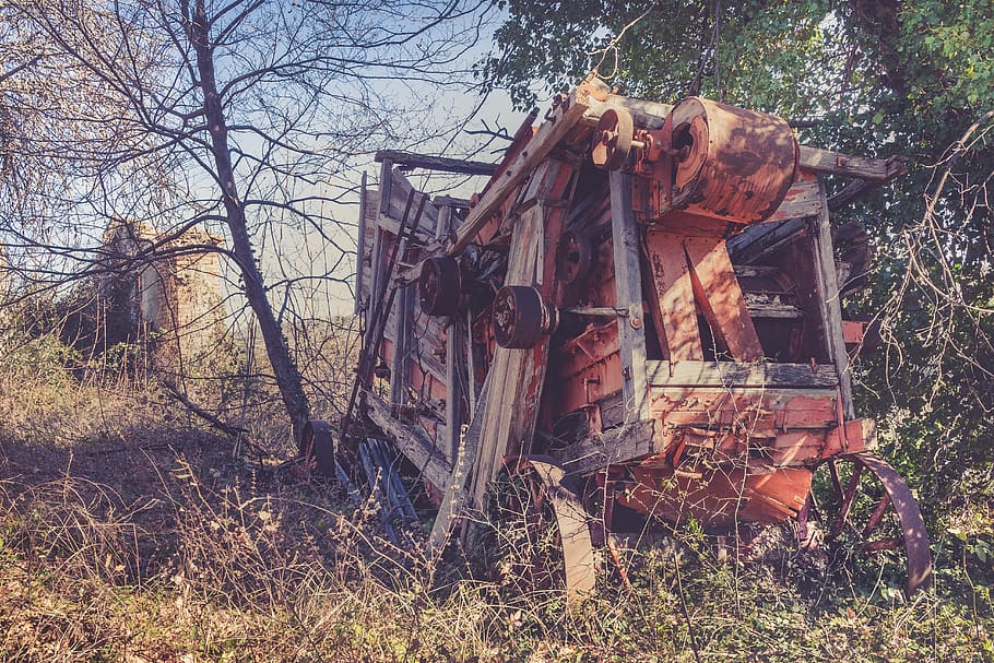 mlácení, pšenice, seno, zemědělství, stroj, pole, pesticidů, venkovský, traktory, traktor, starý