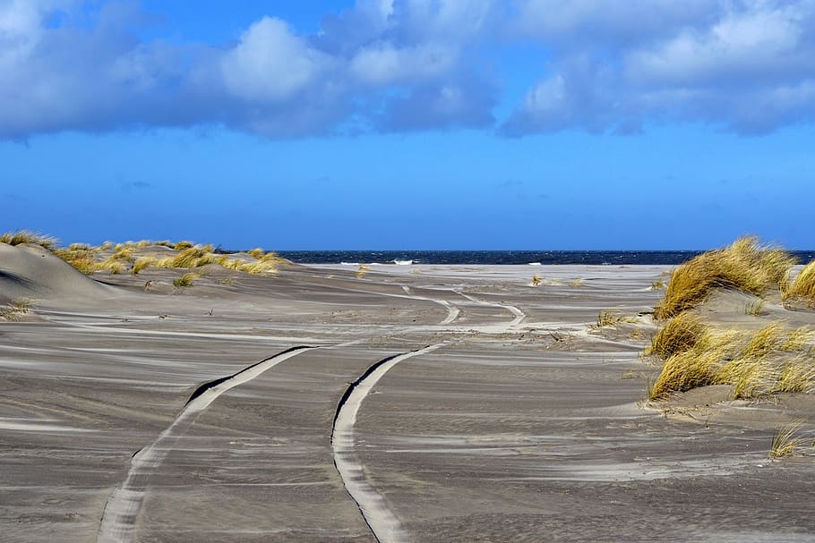 sea, sand, beach, holland, ameland, north sea, clouds, nature