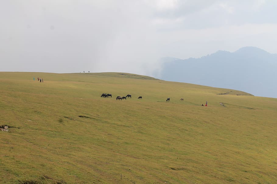 landscape, horizon, wilderness, mountain, field, prairie, hill, pasture, savanna, ridge, plain