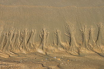 tidal, mud, dirt, nature, sand, mud flat, foreshore