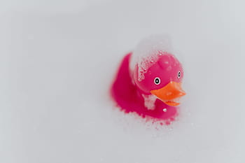 rosa, patito de goma, espuma, pato de goma, pato rosa, pompas de jabón, juguete, juguete de goma, baño
