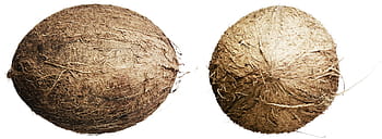 coconut, closeup, isolated, vegetarian, natural, delicious, tropical, white, diet, brown, subtropical