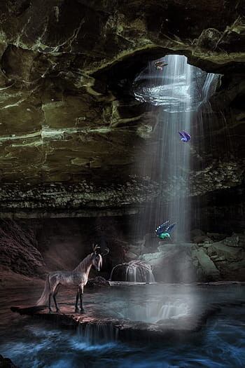 unicorno, acque, natura, cascata, buio, bagnato, luce, roccia, fiume, grotta, acqua