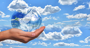 peace dove, harmony, dove, hand, keep, soap bubble, fragile, symbol, world peace, war, bokeh
