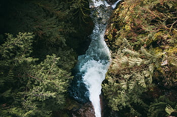 waterfall, hills, surrounded, plants, cloud, cold, flowing, green, hill, landscape, mountain