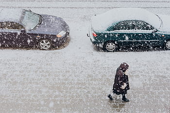 nevado, rua, carros, branco, cidade, inverno, neve