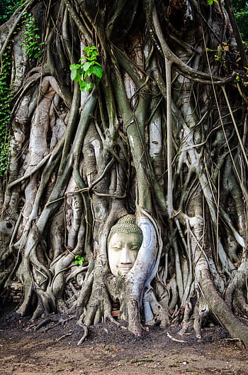 socha Buddhy, Thajsko, buddhismus, Buddha, socha, náboženství, Asie, asijský, buddhista, kultura, cestovat