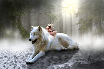 fantasy, magical, surreal, fairytales, girl, photomontage, wolf, fog, gimp, gimp workshop, photoshop