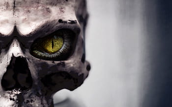skull, skull and crossbones, eye, skeleton, death, bone, face, mask, cool wallpaper