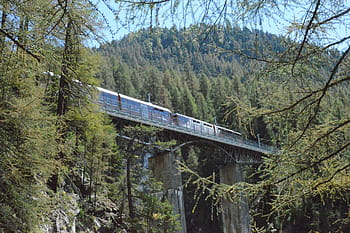 gornergratbahn, riffelalp, findelbach, švýcarsko, vlak, les, stromy železnice