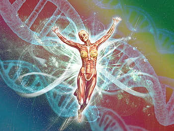 člověk, biologie, tělo, dna, fyzicky, genetika, výzkum, Věda, anatomie, lékařský
