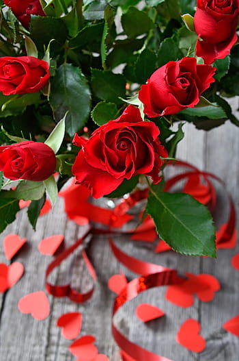 rosa, San Valentino, romantico, romanza, amore, simpatico, sfondo, fiore, fiori, simbolo, amorevole