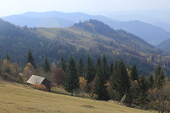 podzim, strom, kopec, hora, chata, chatrč, Příroda, teplý