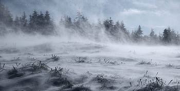 talvi-, lumi, halla, tuuli, zadymka, sää, lumimyrsky, blizzards, maisema, vuoret, Beskids