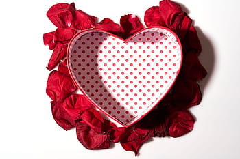 heart, valentine's day, red, love, in love, valentine, beautiful, gift, color, holiday, pink