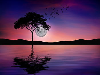 night, reflection, water, nature, darkness, the night, full moon, lake