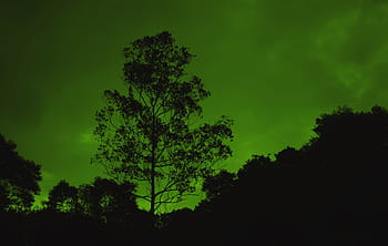 tree, large tree, silhouette, nature, tree wallpaper, wallpaper, green sky, supernatural, landscape, fantasy, horizon