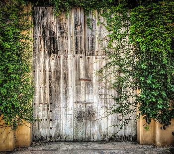 gate, fence, creepy, entrance, rural, barn wood, garden, old, architecture, door, rustic