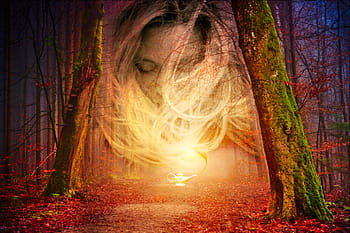 forest, light, spirit, lamp, aladdin, nature, trees, autumn, via, landscape, mystic
