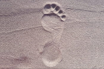 footprint in sand, nature, beach, feet, foot, sand