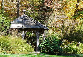 wooden, gazebo, backyard garden, garden., wooden gazebo, outdoor gazebo, small gazebo, hardtop gazebo, backyard gazebo, garden gazebo, pictures of gazebos