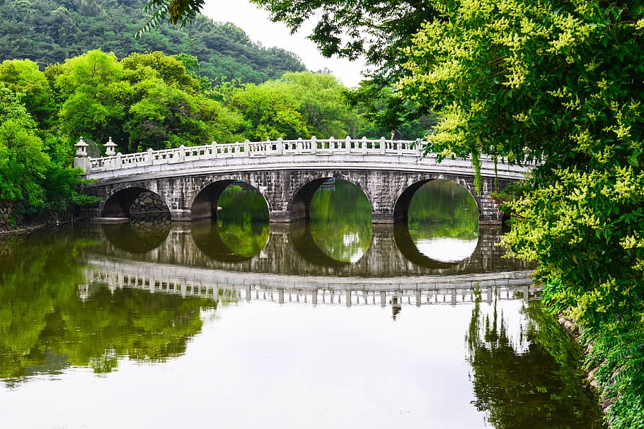 Korea, daegu, řeka, les, katedrála špatná