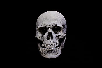 skull, dark, gothic