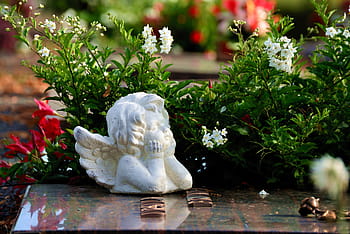 angelo, tomba, cimitero, scultura, lutto, statua, figura, lapide, riposo, commemorare, figura d'angelo