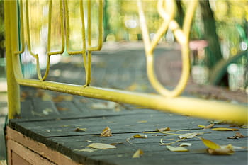 yellow, railing, wood, path