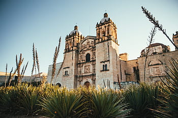 rohový pohled, kostel, bývalý, klášter, Santo Domingo, de, guzman, oaxaca, Mexiko, slunečního světla, architektura