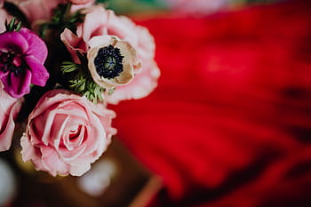 romântico, dia dos namorados, buquês de dia dos namorados, flores, rosas, amor, floral, rosa, vermelho, buquê, monte