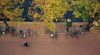 バイク、 自転車、 男、 おとこ、 人、 サイクリスト、 木、 葉、 秋、 玉石、 通り