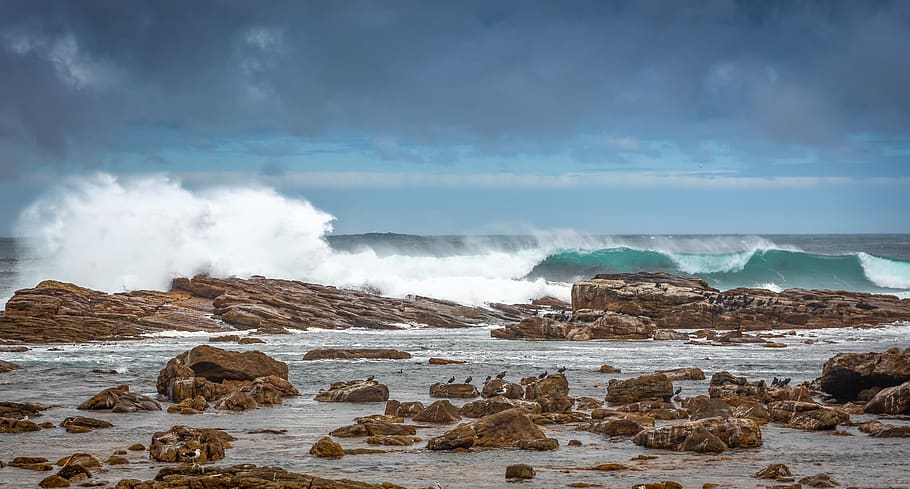 coast, surf, south africa, sea, water, beach, ocean, wave, sky, rock, spray