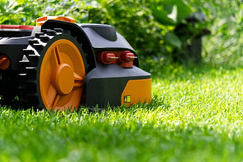 robotická sekačka, robot, autonomní, kosit, tráva, sekačka na trávu, robotická sekačka na trávu, zahrada, spěch, automaticky, trávník robot