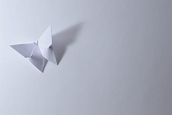 종이 접기, 나비, 잎, 종이, 굽은, 화이트, 그림자, 접근, 장식, 일본, 일본어