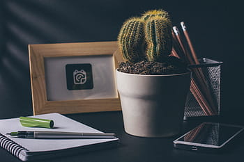 cactus, office, desk, notebook, notepad, pens, pencil, smartphone, mobile, cell phone, frame