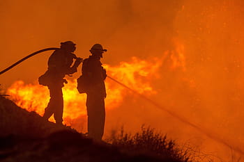 incendio forestale, tubo flessibile, acqua, wildfire, fiammata, sagome, i vigili del fuoco, Fumo, alberi, calore, ardente