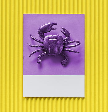 karta, barvitý, krab, tvořivý, roztomilý, dekorace, postava, zábava, radost, málo, mini