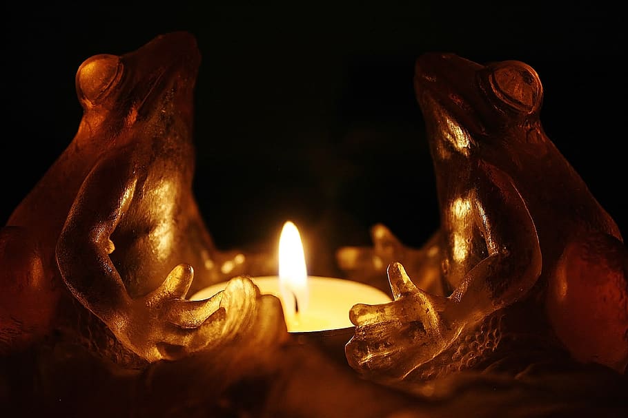 candle, deco, decoration, light, glass, frog, frogs, art, sculpture, figure